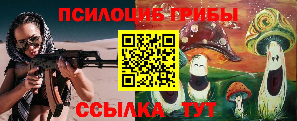 Зерноград  Псилоцибиновые грибы MAGIC MUSHROOMS  Вход с VPN  наркотики  Галлюциногенные грибы Psilocybine cubensis 