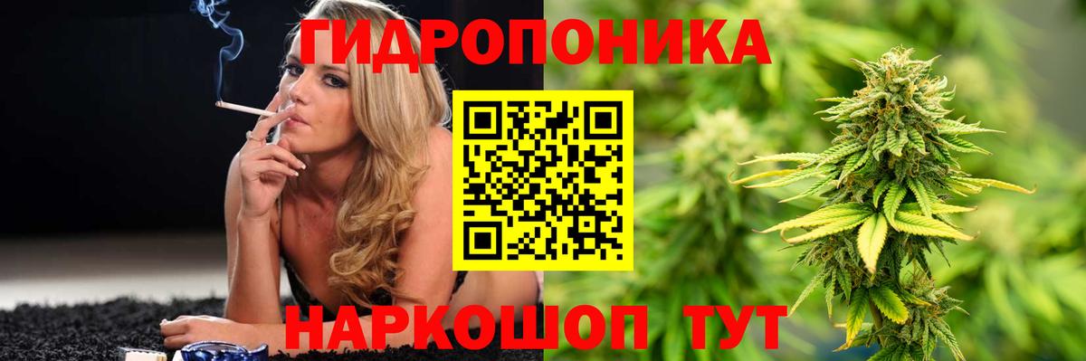 Каннабис сатива  Шишки марихуана THC 21%  Бошки Шишки семена  Вход с VPN  Зерноград 